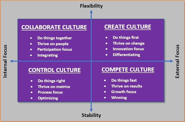 Culture focus