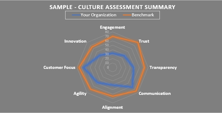 culture & engagement assessment