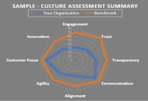 culture benchmark