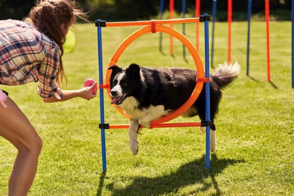 agility training